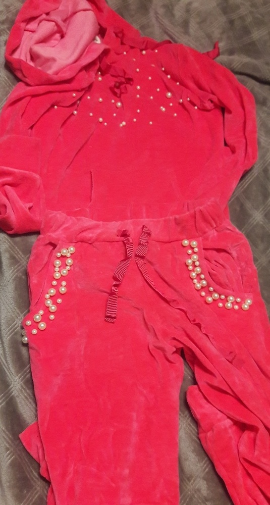 NWOT velour hoodie and pants set